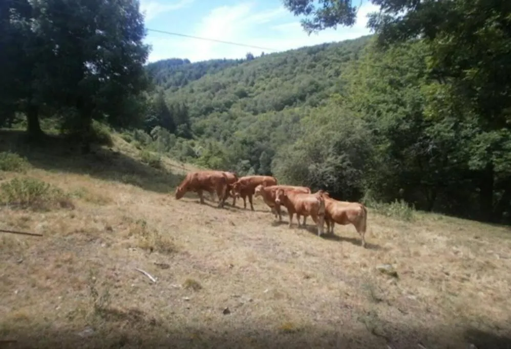 Vila L'Ostel Aveyronnais Golinhac Francie