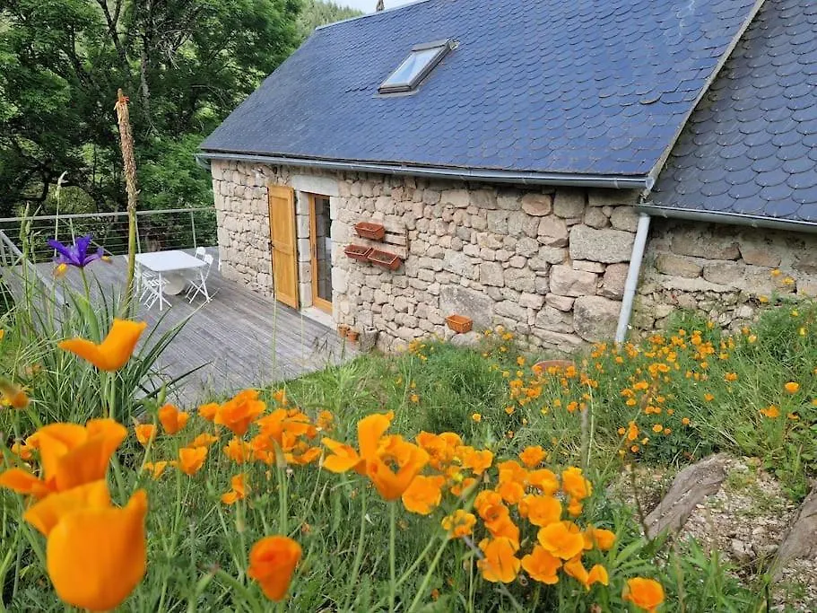 L'Ostel Aveyronnais Villa Golinhac Holiday home